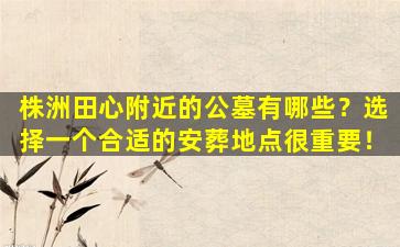 株洲田心附近的公墓有哪些？选择一个合适的安葬地点很重要！