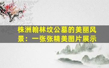 株洲翰林坟公墓的美丽风景：一张张精美图片展示