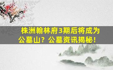 株洲翰林府3期后将成为公墓山？公墓资讯揭秘！