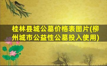 桂林县城公墓价格表图片(柳州城市公益性公墓投入使用)