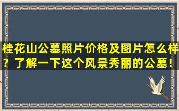 桂花山公墓照片价格及图片怎么样？了解一下这个风景秀丽的公墓！