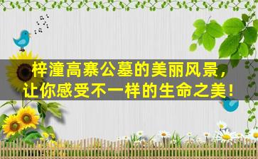 梓潼高寨公墓的美丽风景，让你感受不一样的生命之美！