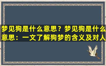 梦见狗是什么意思？梦见狗是什么意思：一文了解狗梦的含义及对人生的影响