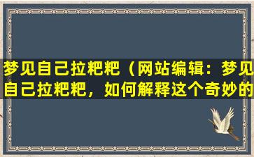 梦见自己拉粑粑（网站编辑：梦见自己拉粑粑，如何解释这个奇妙的梦境？）