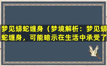 梦见蟒蛇缠身（梦境解析：梦见蟒蛇缠身，可能暗示在生活中承受了巨大的压力，需要释放压力。）