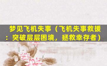 梦见飞机失事（飞机失事救援：突破层层困境，拯救幸存者）