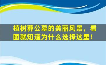 植树葬公墓的美丽风景，看图就知道为什么选择这里！
