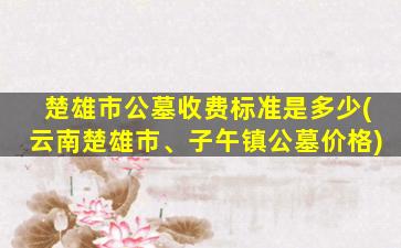 楚雄市公墓收费标准是多少(云南楚雄市、子午镇公墓价格)