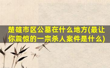 楚雄市区公墓在什么地方(最让你震惊的一宗杀人案件是什么)