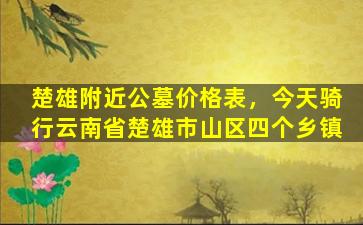 楚雄附近公墓价格表，今天骑行云南省楚雄市山区四个乡镇