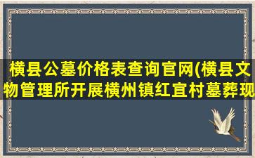 横县公墓价格表查询官网(横县文物管理所开展横州镇红宜村墓葬现场清理工作)