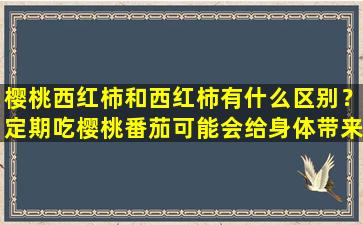 樱桃西红柿和西红柿有什么区别？定期吃樱桃番茄可能会给身体带来2个主要好处