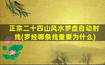 正宗二十四山风水罗盘自动射线(罗经哪条线重要为什么)