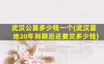 武汉公墓多少钱一个(武汉墓地20年到期后还要交多少钱)