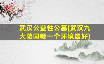 武汉公益性公墓(武汉九大陵园哪一个环境最好)