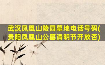 武汉凤凰山陵园墓地电话号码(贵阳凤凰山公墓清明节开放否)
