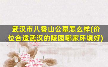 武汉市八叠山公墓怎么样(价位合适武汉的陵园哪家环境好)