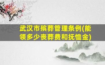 武汉市殡葬管理条例(能领多少丧葬费和抚恤金)