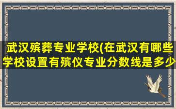 武汉殡葬专业学校(在武汉有哪些学校设置有殡仪专业分数线是多少)