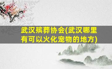 武汉殡葬协会(武汉哪里有可以火化宠物的地方)