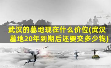 武汉的墓地现在什么价位(武汉墓地20年到期后还要交多少钱)
