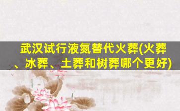 武汉试行液氮替代火葬(火葬、冰葬、土葬和树葬哪个更好)
