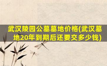 武汉陵园公墓墓地价格(武汉墓地20年到期后还要交多少钱)