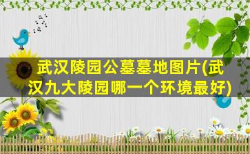 武汉陵园公墓墓地图片(武汉九大陵园哪一个环境最好)