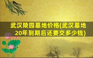 武汉陵园墓地价格(武汉墓地20年到期后还要交多少钱)