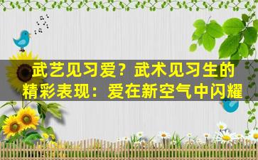 武艺见习爱？武术见习生的精彩表现：爱在新空气中闪耀