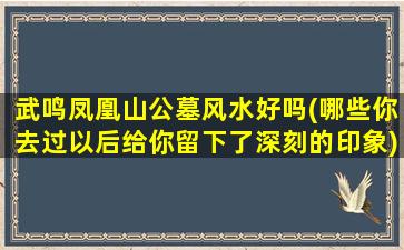武鸣凤凰山公墓风水好吗(哪些你去过以后给你留下了深刻的印象)