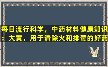 每日流行科学，中药材料健康知识：大黄，用于清除火和排毒的好药物，以及治疗便秘的好药