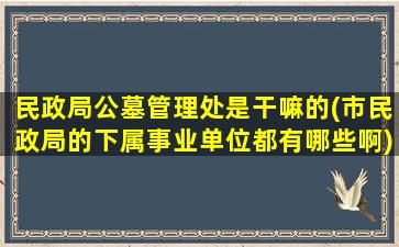 民政局公墓管理处是干嘛的(市民政局的下属事业单位都有哪些啊)