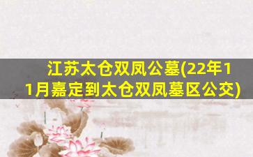 江苏太仓双凤公墓(22年11月嘉定到太仓双凤墓区公交)