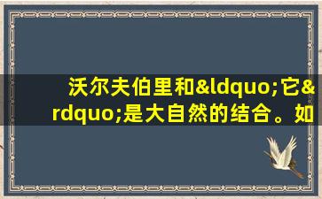 沃尔夫伯里和“它”是大自然的结合。如果您喝了几天，您的肾脏气体就足够了，肝脏将变得越来越“纯化”