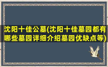 沈阳十佳公墓(沈阳十佳墓园都有哪些墓园详细介绍墓园优缺点等)