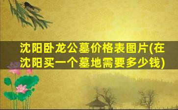 沈阳卧龙公墓价格表图片(在沈阳买一个墓地需要多少钱)