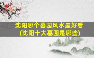 沈阳哪个墓园风水最好看(沈阳十大墓园是哪些)