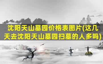 沈阳天山墓园价格表图片(这几天去沈阳天山墓园扫墓的人多吗)