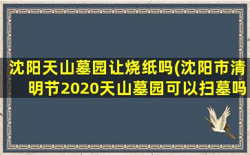 沈阳天山墓园让烧纸吗(沈阳市清明节2020天山墓园可以扫墓吗)