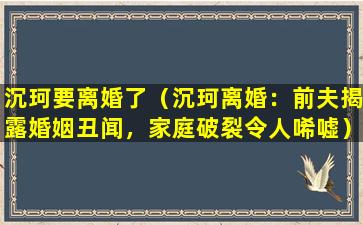 沉珂要离婚了（沉珂离婚：前夫揭露婚姻丑闻，家庭破裂令人唏嘘）