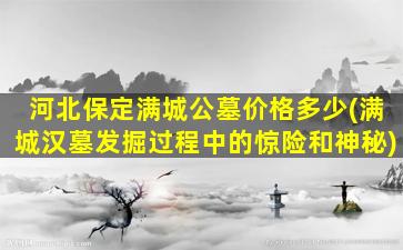 河北保定满城公墓价格多少(满城汉墓发掘过程中的惊险和神秘)