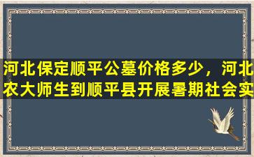 河北保定顺平公墓价格多少，河北农大师生到顺平县开展暑期社会实践活动
