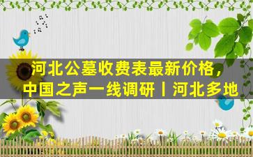 河北公墓收费表最新价格，中国之声一线调研丨河北多地