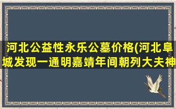 河北公益性永乐公墓价格(河北阜城发现一通明嘉靖年间朝列大夫神道碑)