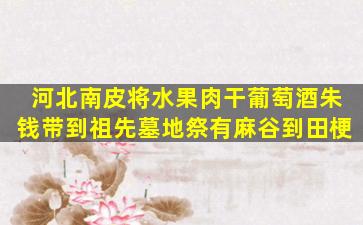 河北南皮将水果肉干葡萄酒朱钱带到祖先墓地祭有麻谷到田梗