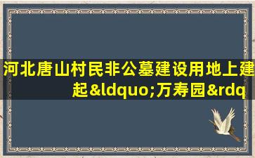 河北唐山村民非公墓建设用地上建起“万寿园”公墓
