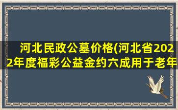 河北民政公墓价格(河北省2022年度福彩公益金约六成用于老年人福利类项目)
