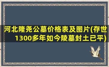 河北隆尧公墓价格表及图片(存世1300多年如今陵墓封土已平)