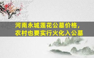 河南永城莲花公墓价格，农村也要实行火化入公墓